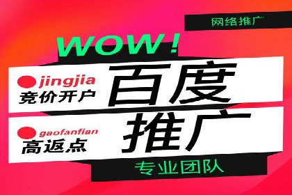 百度推广案例：精准广告投放策略解析